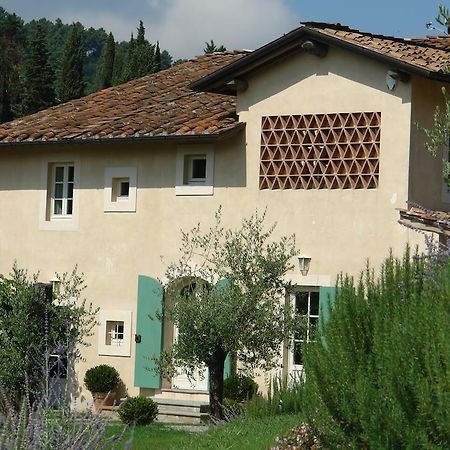 Agriturismo Mareli Villa Camaiore Buitenkant foto