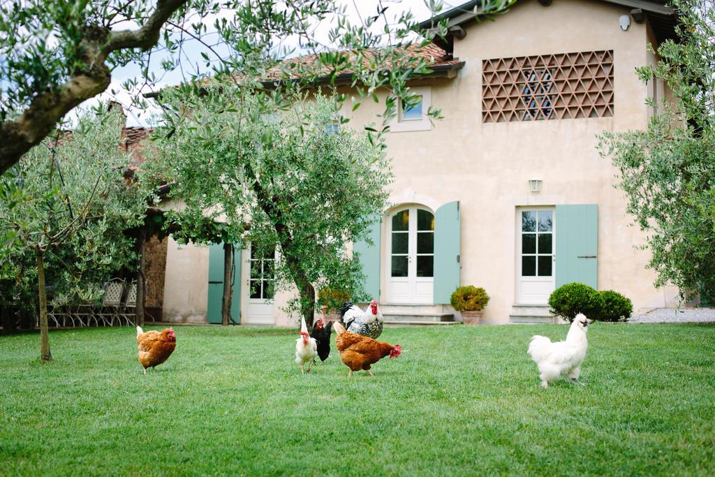 Agriturismo Mareli Villa Camaiore Buitenkant foto